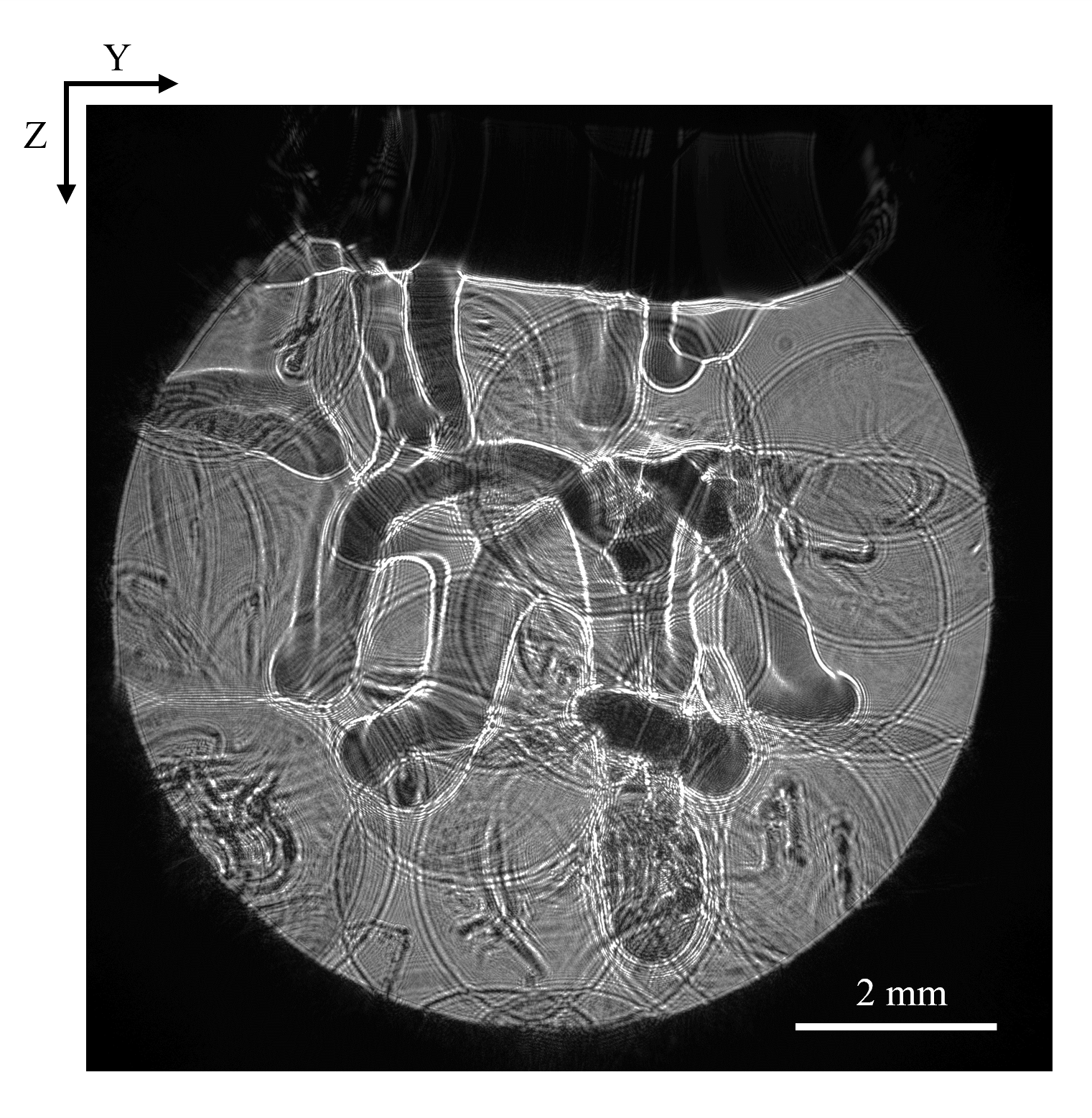 Convective Plumes in Porous Media